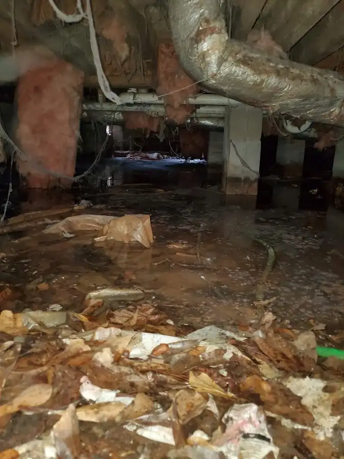 Crawl space flood assessment for Commercial Water Damage Restoration in Marshall